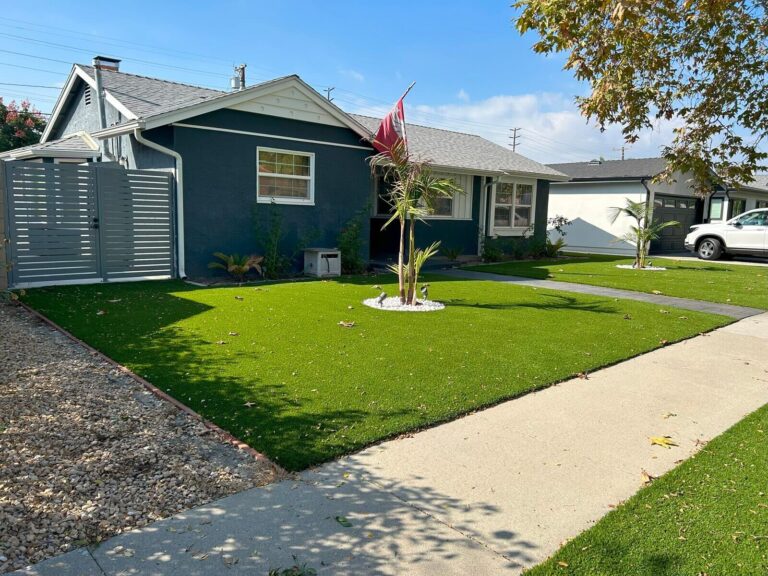 Home 12 IMG_8042